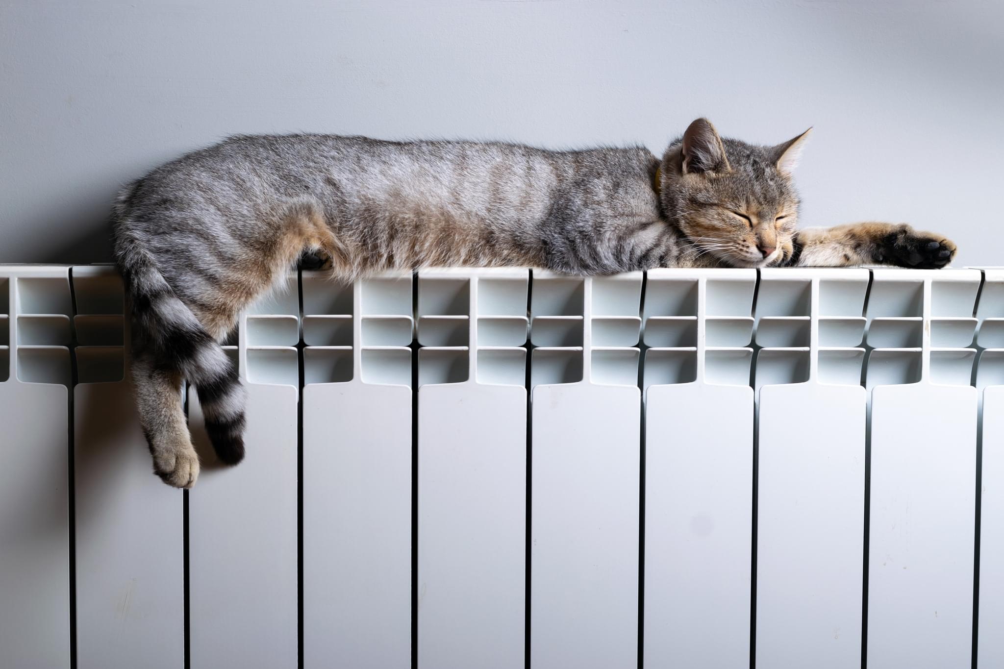 Chat allongé sur un radiateur