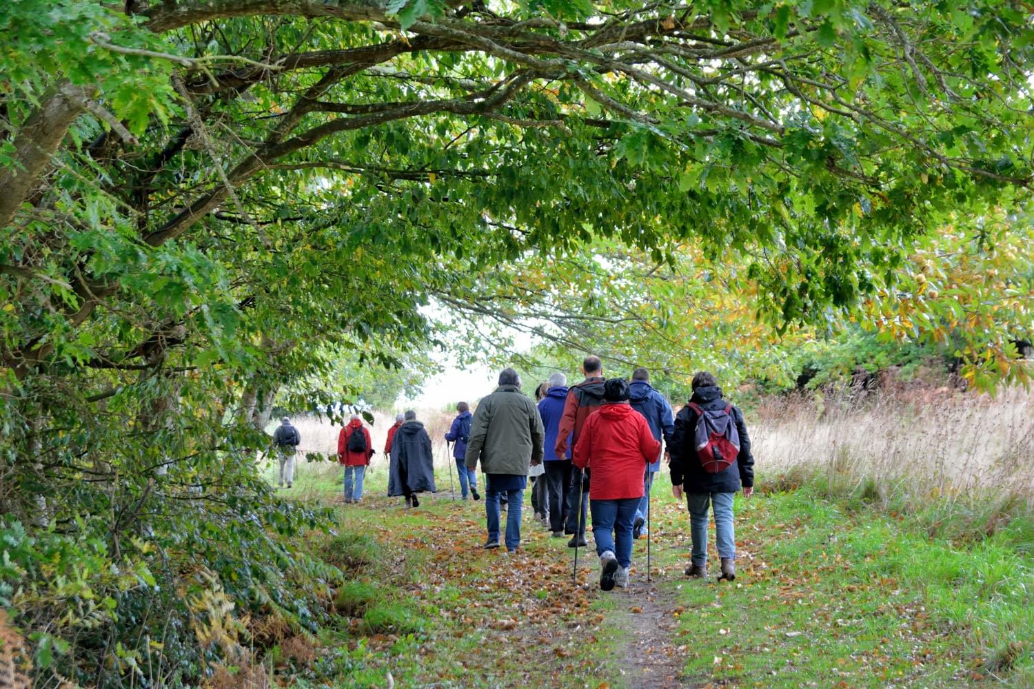 Groupe de personnes marchant sous les arbres