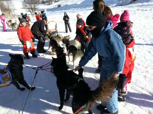 Matinée avec des chiens de traîneau. C’est parti pour une ballade !