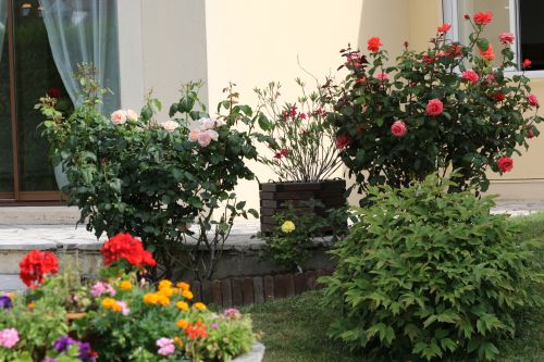 Participez au concours des maisons, jardins et blacons fleuris de Buchelay 2018 !